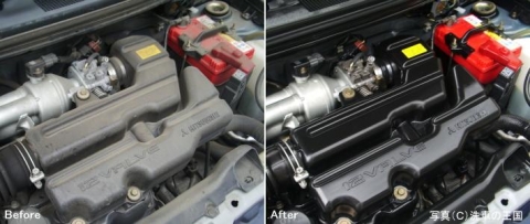 SENSHA Engine Clean foto