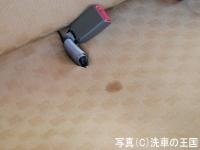 SENSHA-Interior-Stain-Cleaner-foto0